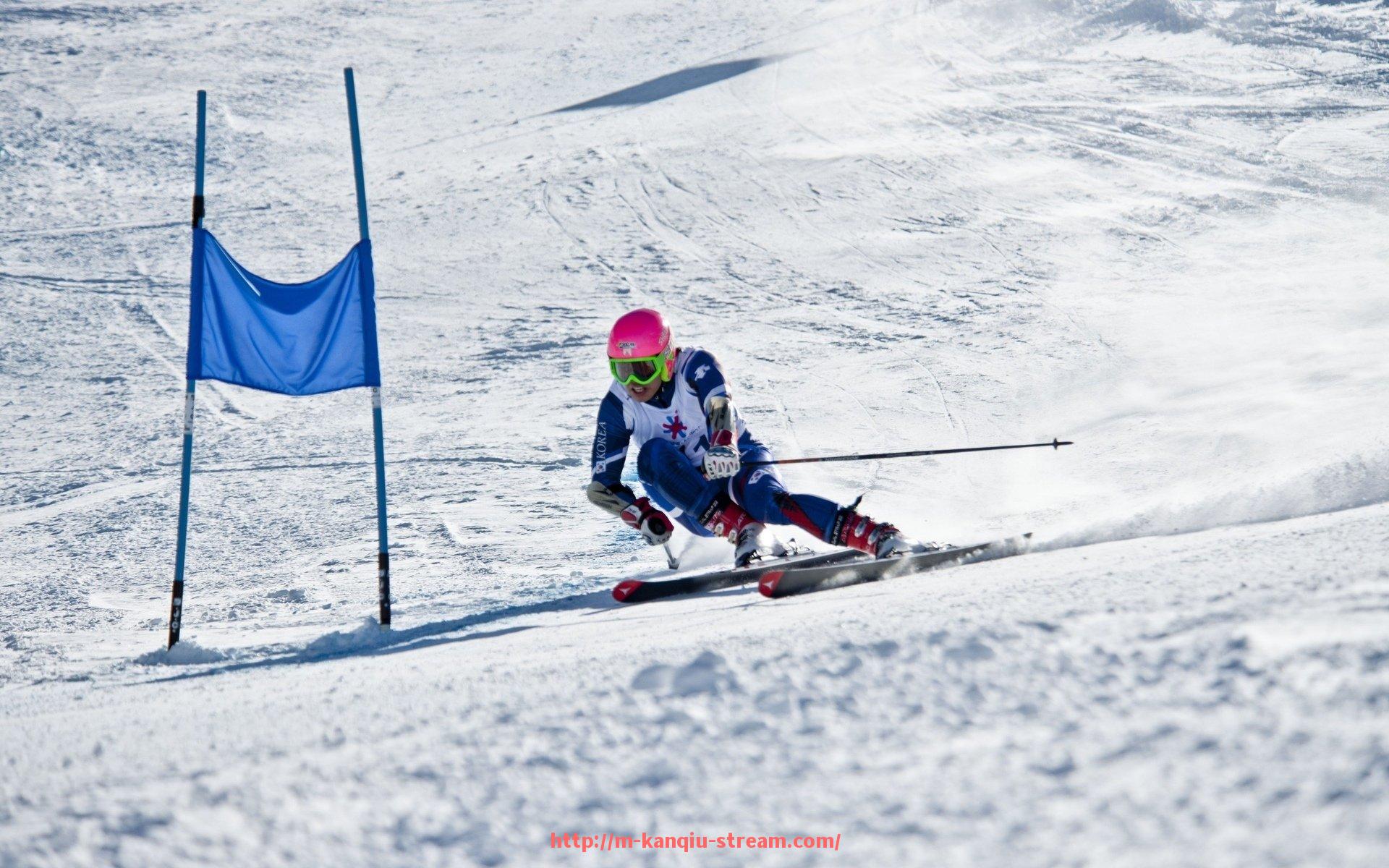 看球直播-德甲球队全胜纪录球员名单曝光